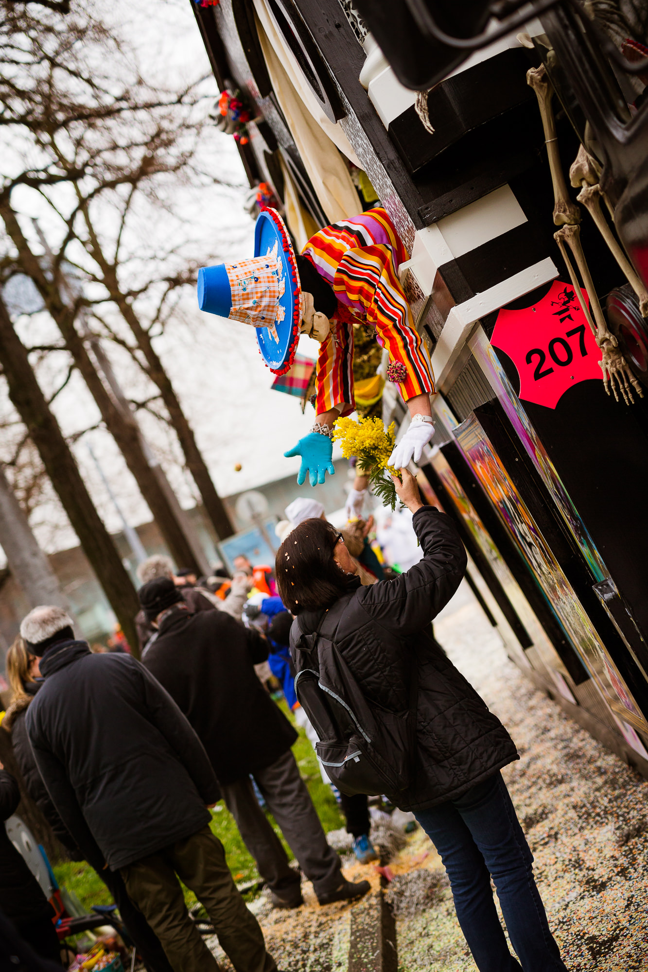 Export x3 1DX 7110 Basler Fasnacht 2016